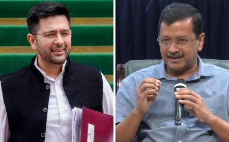 Raghav Chadha sidelined? AAP's Rajya Sabha shuffle triggers rumours; what went wrong