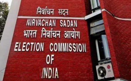 West Bengal poll chaos: Villagers hold SIR officers 'hostage', EC asks NIA to probe case