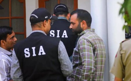 J&amp;K SIA files chargesheet against accused involved in harbouring LeT terrorists