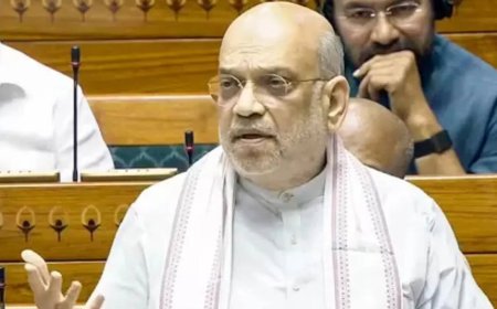 Jan Vishwas Bill 'giant step' for ease of living, business: Shah