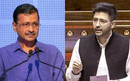 'You’ve grown afraid': AAP hits back after Raghav Chadha’s direct attack on leadership