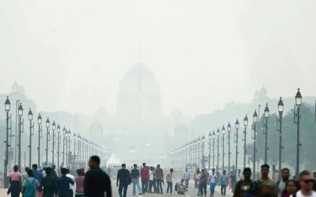 33 possible air pollution solutions progress to trial phase under challenge set by Delhi govt