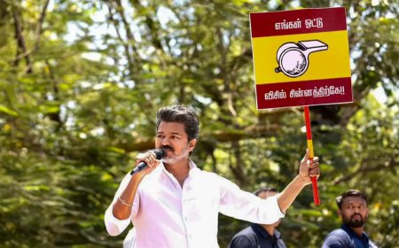 'Didn’t grant statehood to Puducherry': Vijay slams BJP, Congress ahead of polls