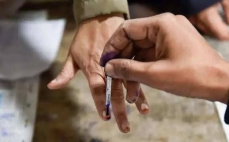 Puducherry elections: 23% of candidates face criminal cases, TVK leads with 10 names