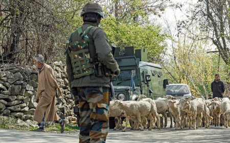 National Conference, Congress seek ‘decent burial’ of man killed in Ganderbal encounter