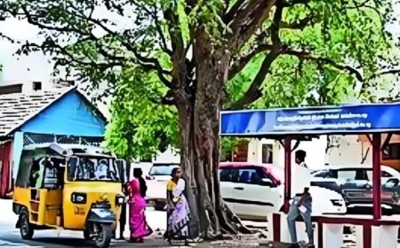 A village that rejects freebies &amp; doesn't allow political advertisements