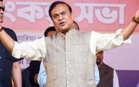 Himanta Biswa Sarma vows free LPG cylinders for puja, Bihu; code violation, says Congress