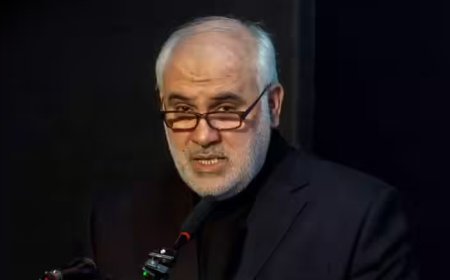 Steps in place to give India ships Hormuz passage: Iran envoy