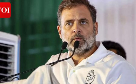 'Central governmnet not listening to anyone': Rahul Gandhi flags functional problems of OSCs for women