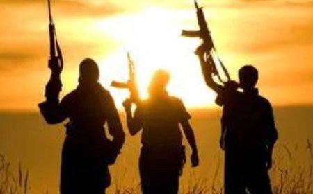 'Jihadi module with links to foreign handlers':  Andhra Pradesh Police busts suspected ISIS-linked network with multi-state links