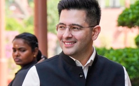 Punjab ‘my soul’, says Chadha in response to AAP Punjab unit charges