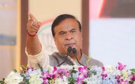 Beef row: Chief minister vows action against AJP nominee's kin