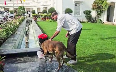 Delhi Assembly security scare: Police nab suspect, seize car; no bomb-like object found