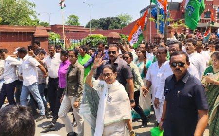 Bengal polls: CM Mamata Banerjee files nomination from Bhabanipur constituency, rakes up SIR issue
