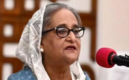 Dhaka seeks Hasina extradition, India to ease visas