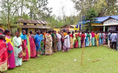 Assembly elections: Kerala, Assam, Puducherry record higher turnout than 2021