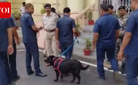 Bihar Assembly receives bomb threat, intensive search underway: Police