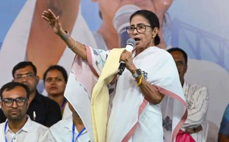 'Nirmam Sarkar' vs 'Snake': TMC-BJP war of words intensifies as West Bengal heads for assembly polls