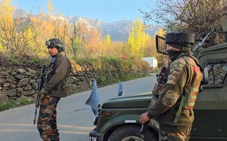 J&amp;K: Two grenades found in mystery box in Rajouri