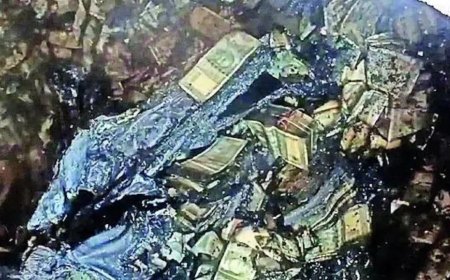 Varma goes down protesting: 'Asked to answer the unanswerable'