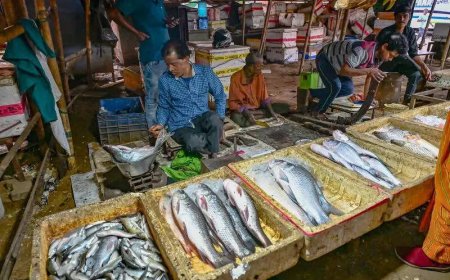 Cooch Behar workers’ ‘vote first, work later’ mantra hits Jaipur restos, households &amp; biz