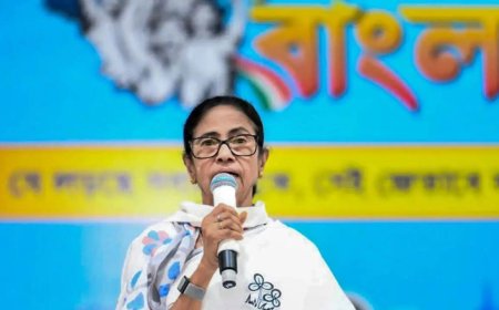 'To divide West Bengal': Mamata claims Centre trying to 'trifurcate' state through delimitation