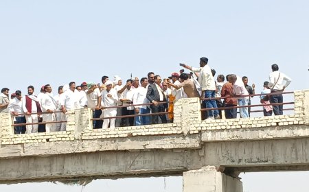 After 60-year wait, Ghazipur villagers inaugurate crowdfunded bridge over Magai River