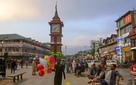 J&amp;K: 3 Kashmir varsities end MOUs with US NGO after ‘security concerns’