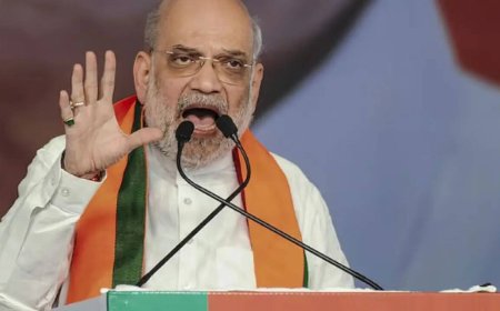 ‘Fed biryani to Pakistani terrorists’: Amit Shah attacks Mamata Banerjee at Bengal rally