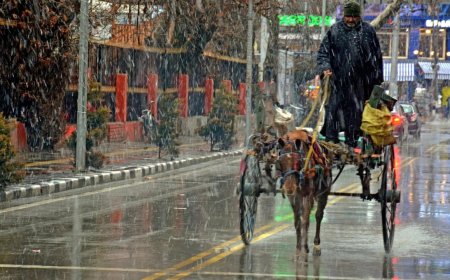 J&amp;K: Last tonga in Srinagar rolls again, 70-year-old keeps past alive