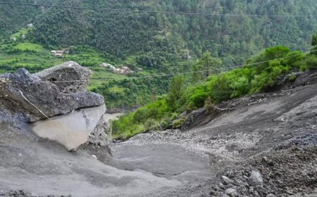 Man transporting cattle jumps into Ramban rivulet to escape assault, goes missing; 4 held