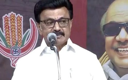 Tamil Nadu assembly polls: CM Stalin holds door-to-door campaign in Vellore