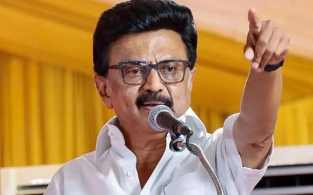 'Tamil Nadu will fight': CM Stalin warns PM Modi over north gain in delimitation