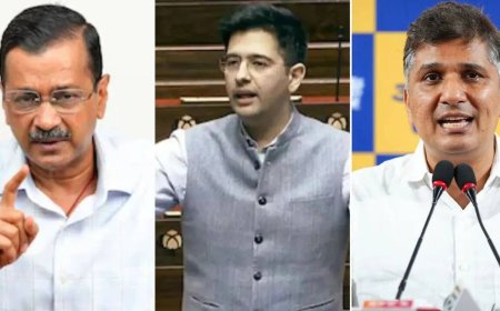 Z security, ED raids row: AAP-Raghav Chadha faceoff turns ugly; BJP piles on
