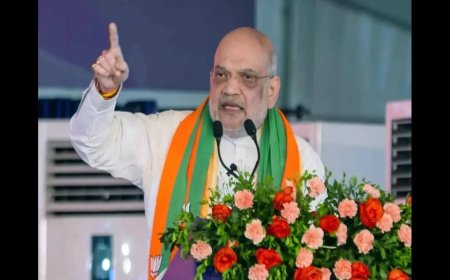 Will drop 'false' cases against Gorkha netas, says Amit Shah