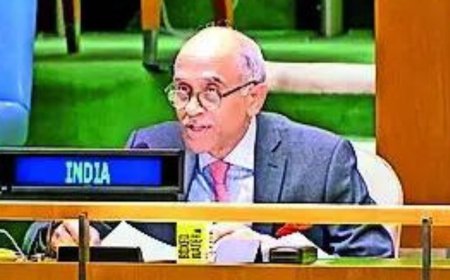 Expanding permanent category with veto critical to real reform of UNSC: India