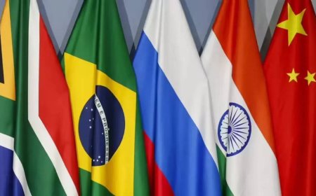 India flags mental health, lifestyle diseases as new BRICS priorities