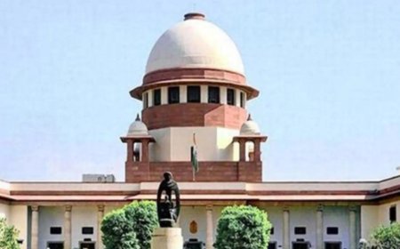 Supreme Court questions limits of judicial scrutiny under Article 25