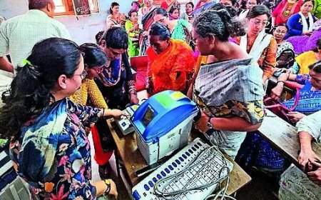 'Why only professors, put judges too on election duty': HC slams EC