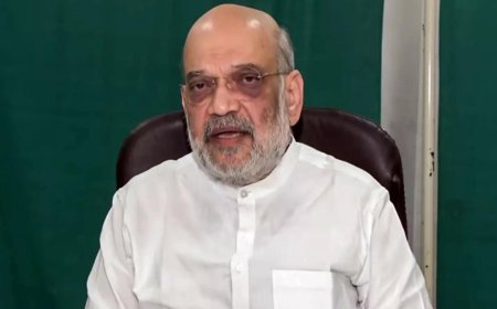 After rejig, seats for South will increase from 129 to 195: Amit Shah