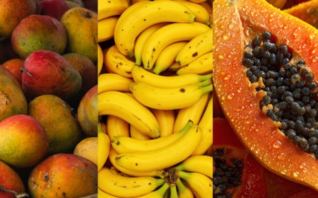 FSSAI cracks down on illegal fruit ripening; states told to step up raids