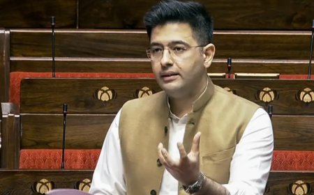 'Leader of my party is not here': Raghav Chadha takes veiled dig at Aam Aadmi Party in Rajya Sabha