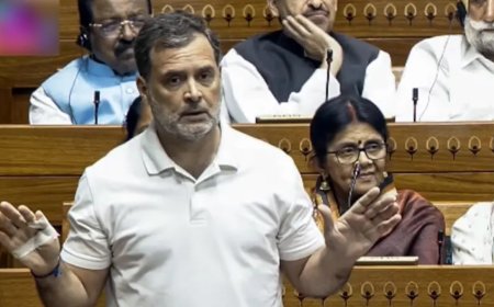 'Whole thing tied to number 16': Rahul Gandhi's intriguing dig at Centre during Delimitation debate; Congress drops hint