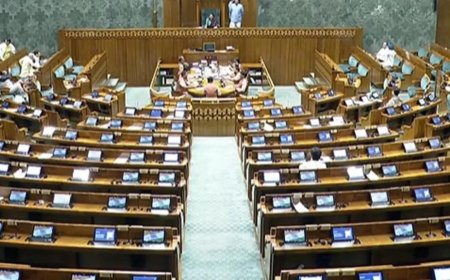 Why bring a bill that would fail? Several theories do the rounds