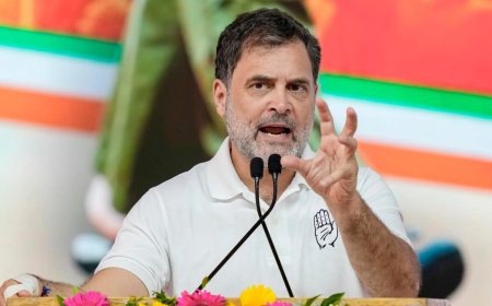 Allahabad high court stays FIR order against Rahul Gandhi in dual citizenship case