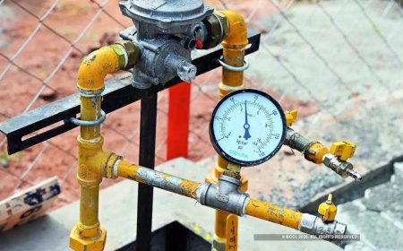 Panel calls for shift to smart prepaid metering for domestic PNG