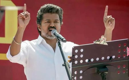 Rs 100 crore discrepancy: HC seeks reply from Vijay, EC, IT dept