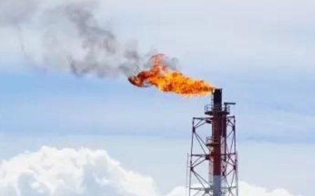2 landfills in India among world’s top 25 super-polluting methane emission waste sites