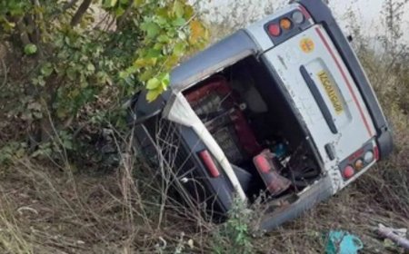 Gujarat: 6 people killed after van overturns in Valsad district