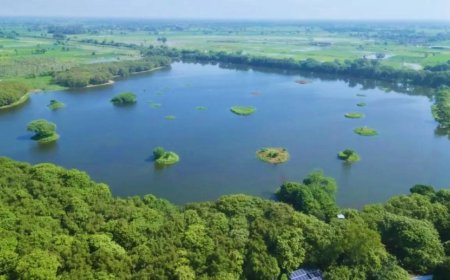 Shekha Jheel Bird Sanctuary of Aligarh gets a global tag, taking India's tally of protected wetlands to 99